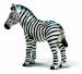 prázdná zebra.jpg